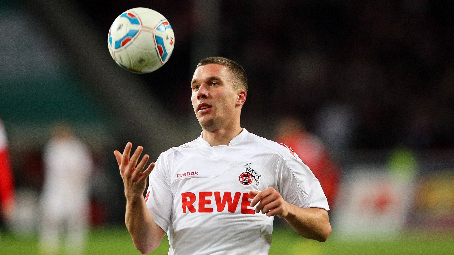 “南非羚羊队的亮眼新星：诺克·达维德·彼得森的崛起”