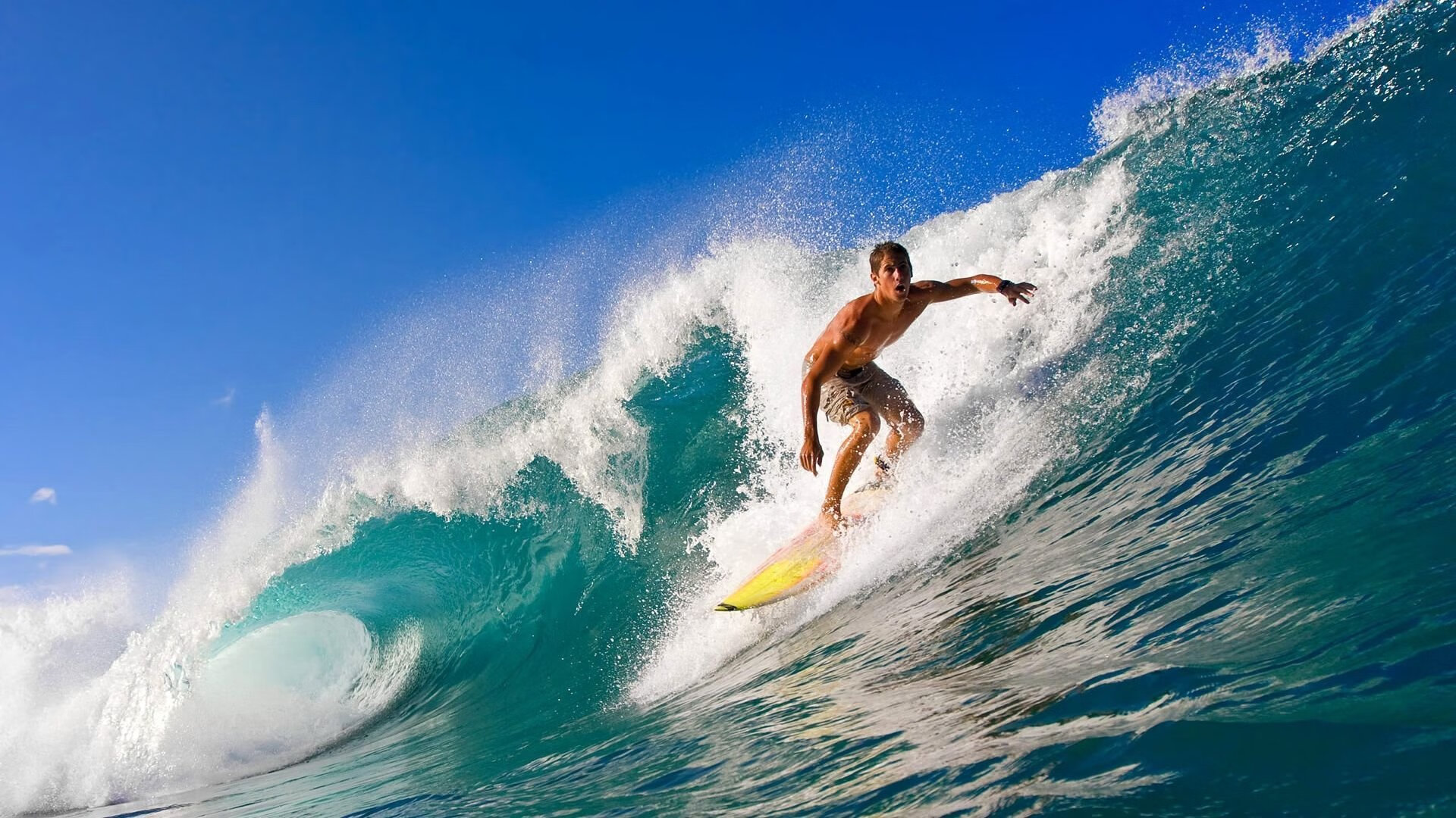 高台跳水选手动作协调 稳定性佳，高台跳水动作名称